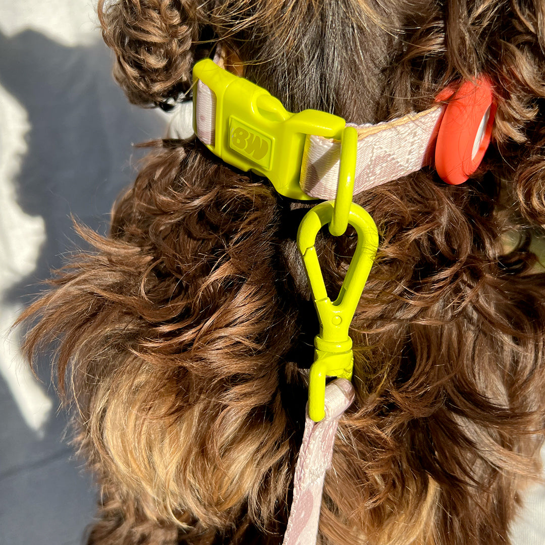 COLLAR WAVY YIN YANG - BEIGE/LIME