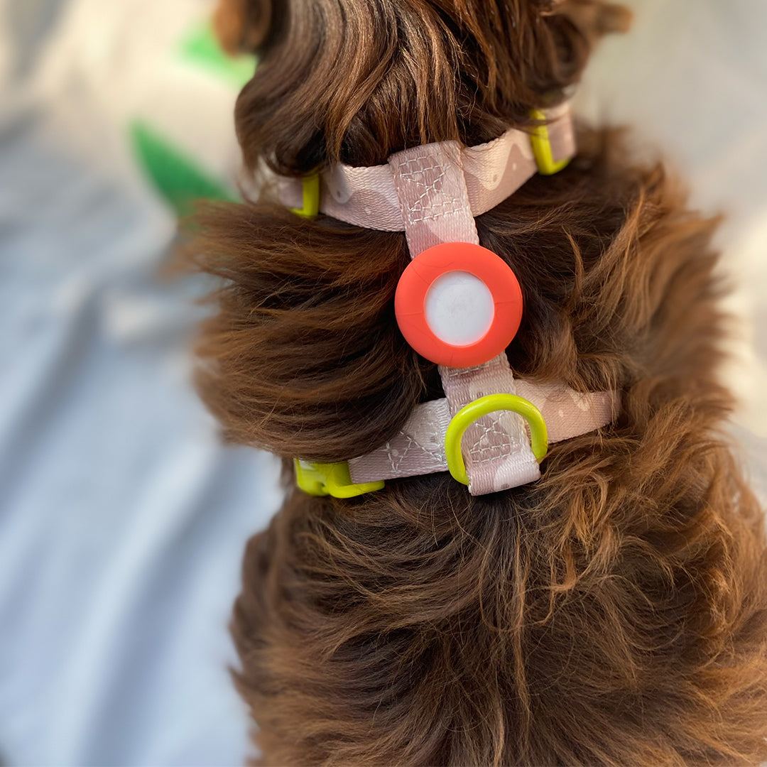 HARNESS WAVY YIN YANG - BEIGE/LIME