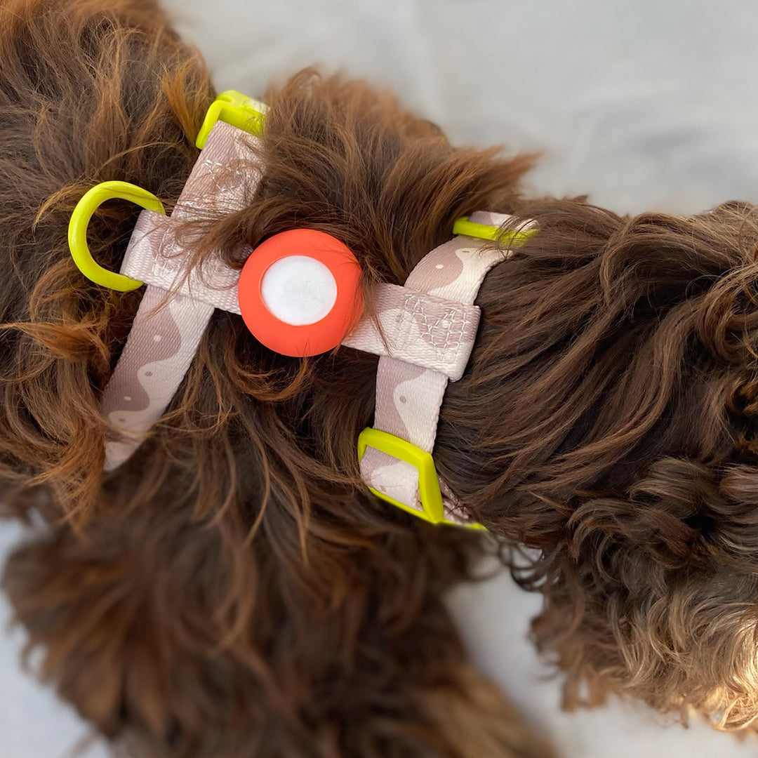 HARNESS WAVY YIN YANG - BEIGE/LIME