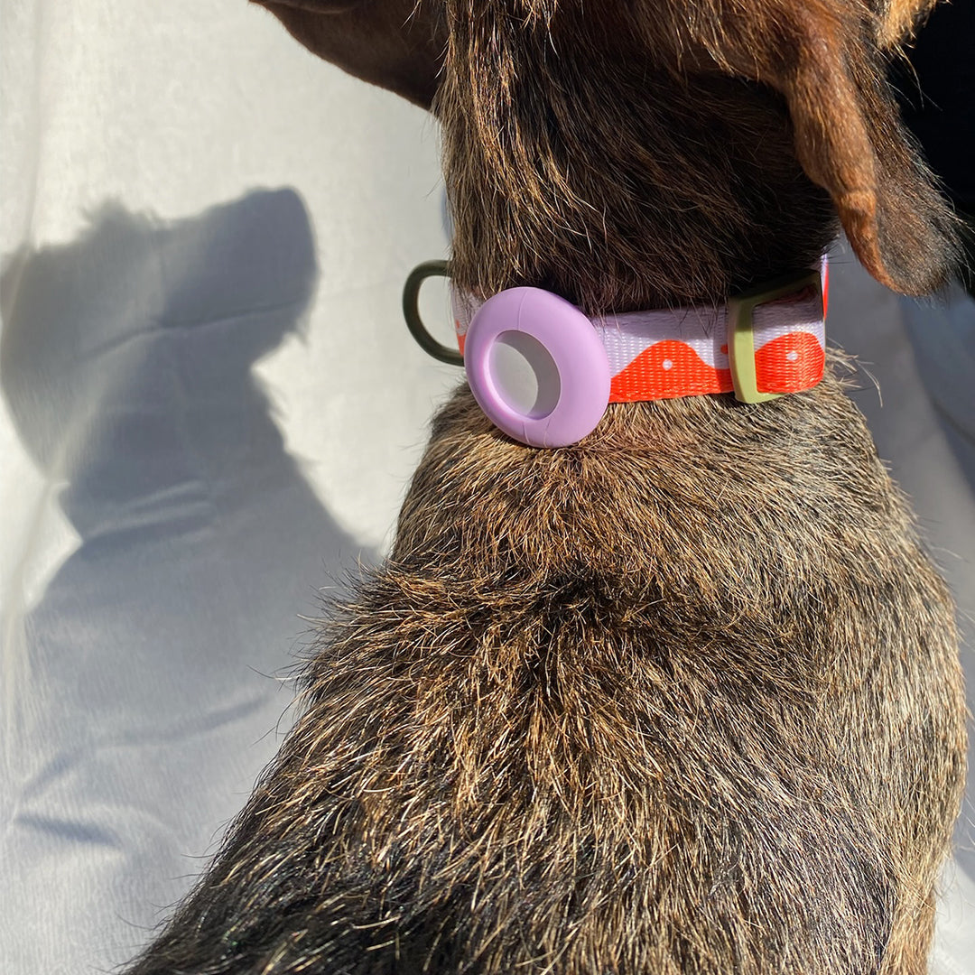 COLLAR WAVY YIN YANG - ORANGE/LILAC