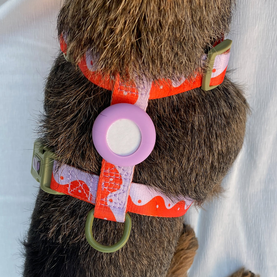 HARNESS WAVY YIN YANG - ORANGE/LILAC