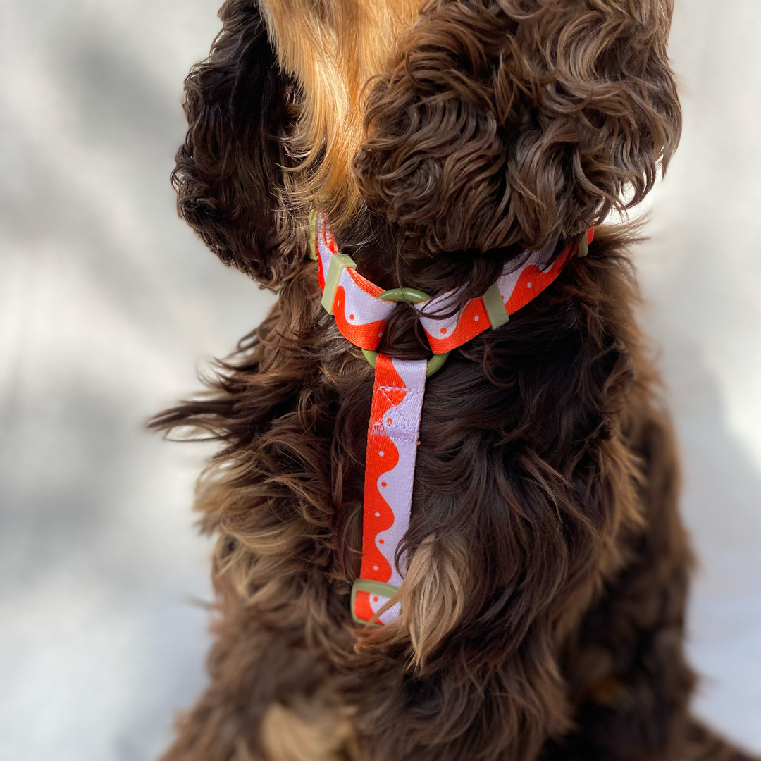 HARNESS WAVY YIN YANG - ORANGE/LILAC